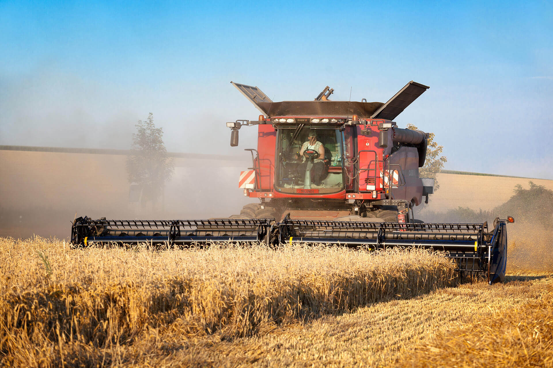 Easy harvesting
